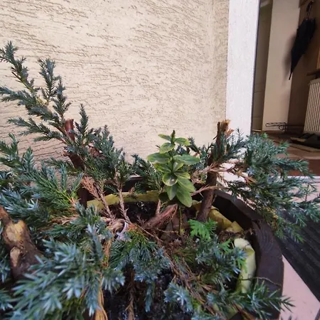 Dom Na Zaciszu * Warszawa