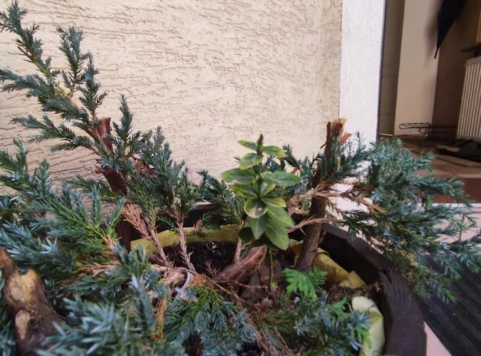 Dom Na Zaciszu * Varšava